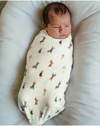 Kynd Baby - Large Stretchy Swaddle in Dachshund