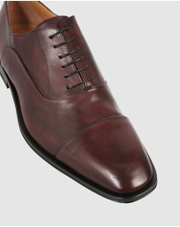 Brando - Barnet Lace Ups