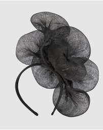 Max Alexander - Large Lilly Black Flower Fascinator