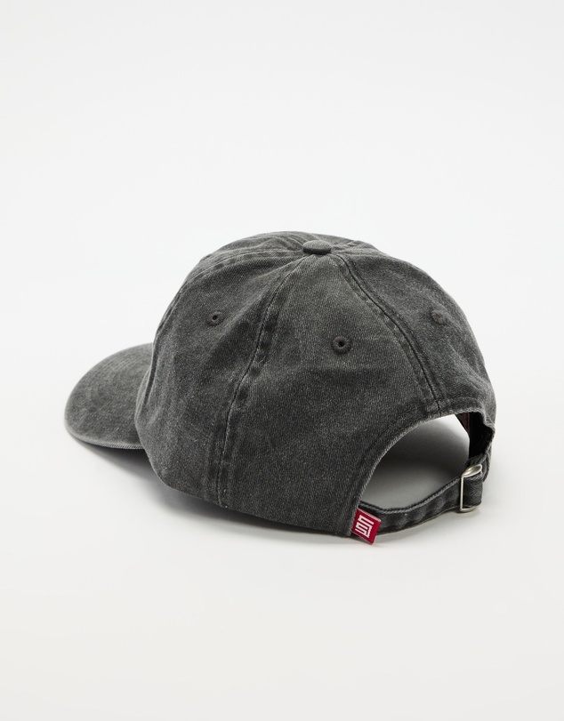 S Double - Country 6 Panel Low Pro Hat