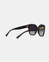 Coach - 0HC8264 L1083 Polarised