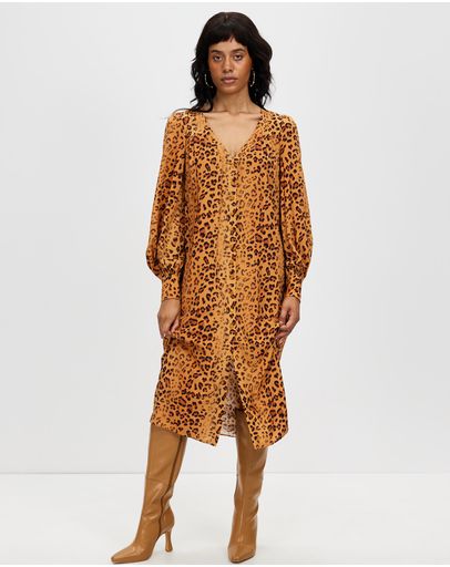 Cheetah