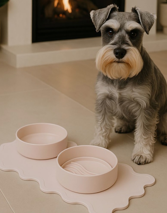 Lilly + Dash - Dog Eat and Drink Set – 2 Bowls + Lick Insert + Wave Placemat Set