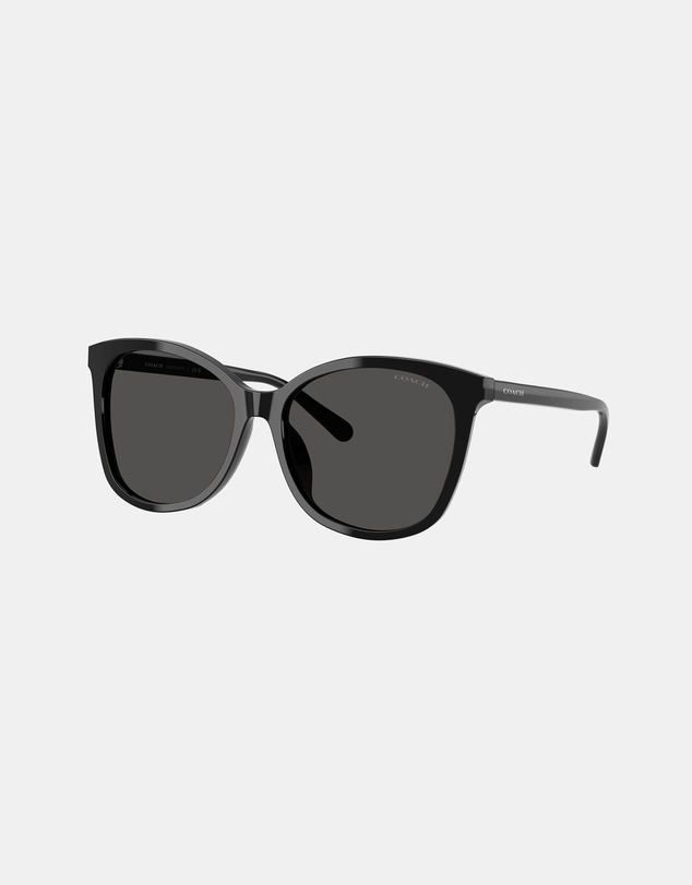 Coach - L1101