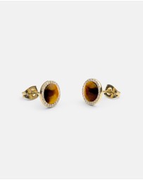 Daniel Wellington - Audrey Earrings Tiger Eye