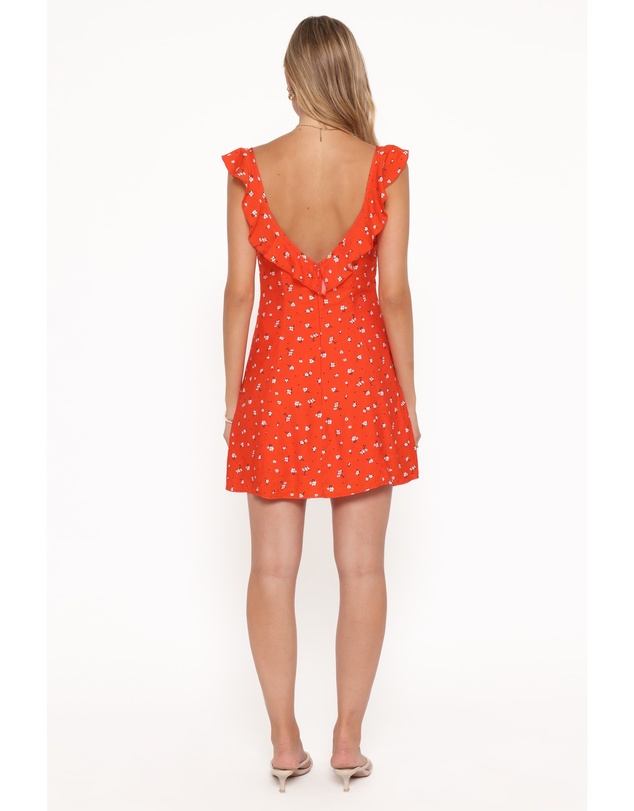Petal & Pup - Lacey Mini Dress - Red Floral