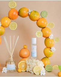 Palm Beach Collection - Yuzu & Sea Moss 100ml Room Mist