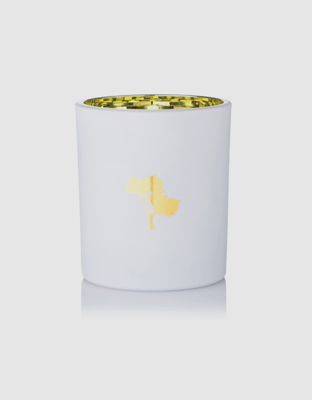 Silk Oil of Morocco - Summer Fruit Salad Luxe Natural Soy Candle