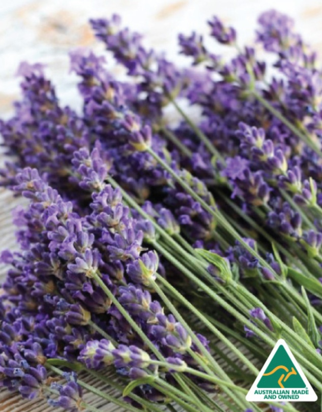 Silk Oil of Morocco - Lavender Natural Soy Candle - Extra Large