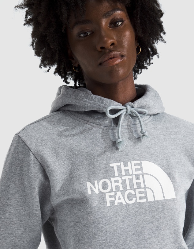 The North Face - Evolution Half Dome Hoodie