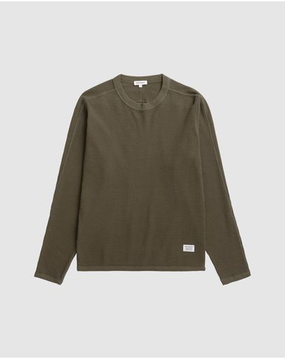 Olive Night
