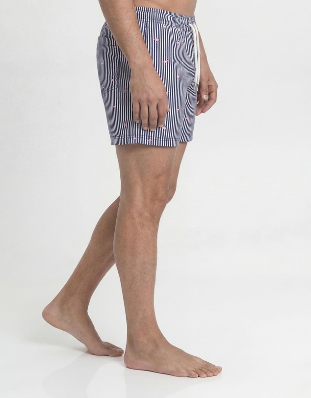 Jack & Jones - Jpstmaui Breeze Mini Stripe Swim Shorts