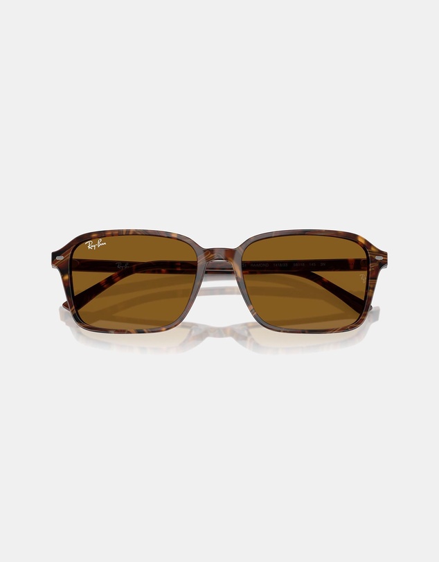 Ray-Ban - Raimond
