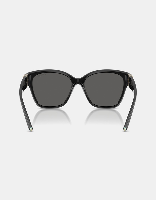 Tiffany & Co. - 0TF4254U