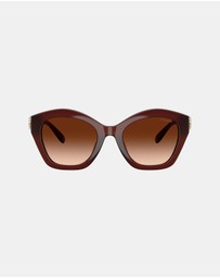 Coach - CAD31