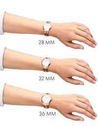 Daniel Wellington - Iconic Link 32mm