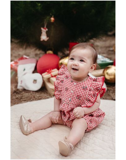Festive Gingham Print