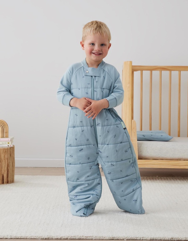 ergoPouch - Sleep Suit Bag 2.5 TOG