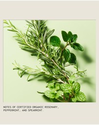 Aveda - Rosemary Mint Weightless Conditioner