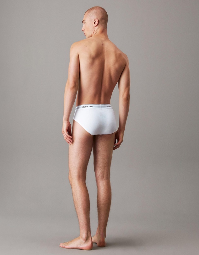 Calvin Klein - Icon Cotton Stretch 3 Pack Briefs