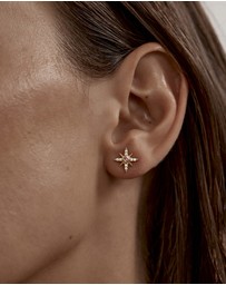 By Charlotte - Starry Night Stud Earrings