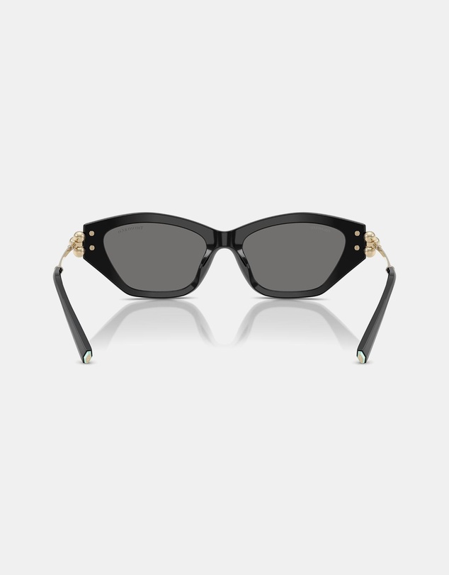 Tiffany & Co. - TF4231U