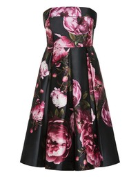 City Chic - Tiffany Bloom Strapless Midi Dress