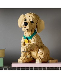 LEGO - 11384 Golden Retriever Puppy
