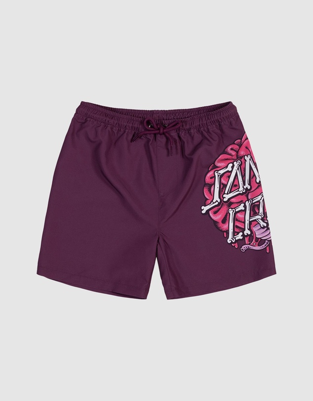 Santa Cruz - Brain Dot Boardshorts - Teens