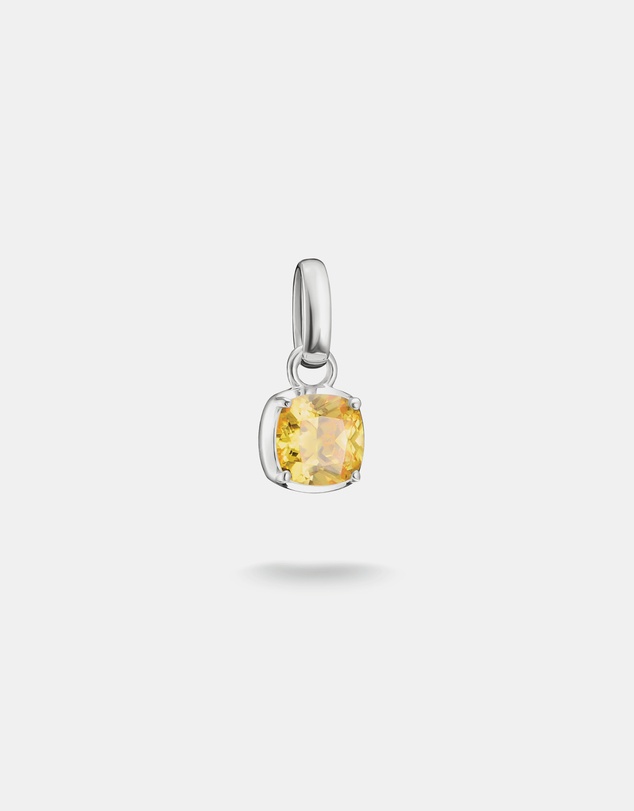 THOMAS SABO - THOMAS SABO Connect Charm Birthstone November