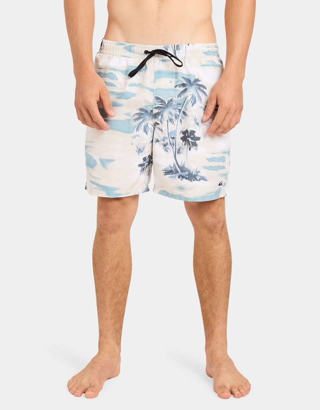 Quiksilver - Mens Everyday 17
