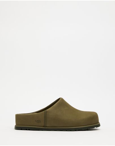 Burnt Olive