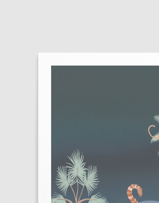 Olive et Oriel - Jungle Monkeys In Midnight