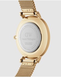 Daniel Wellington - Petite Evergold 36mm