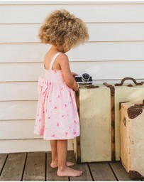 Fox & Finch - Summer Vacay Embroidered Dress - Babies