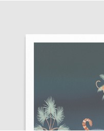 Olive et Oriel - Jungle Monkeys In Midnight