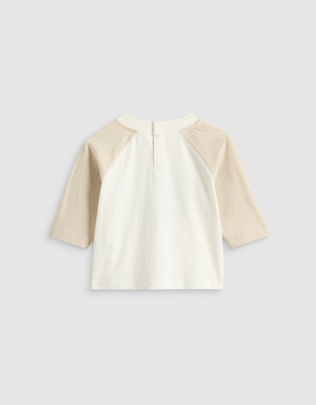 Seed Heritage - Tree Raglan Tee