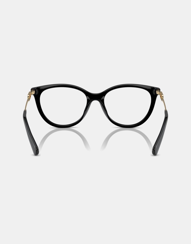 Emporio Armani - 0EA4213U
