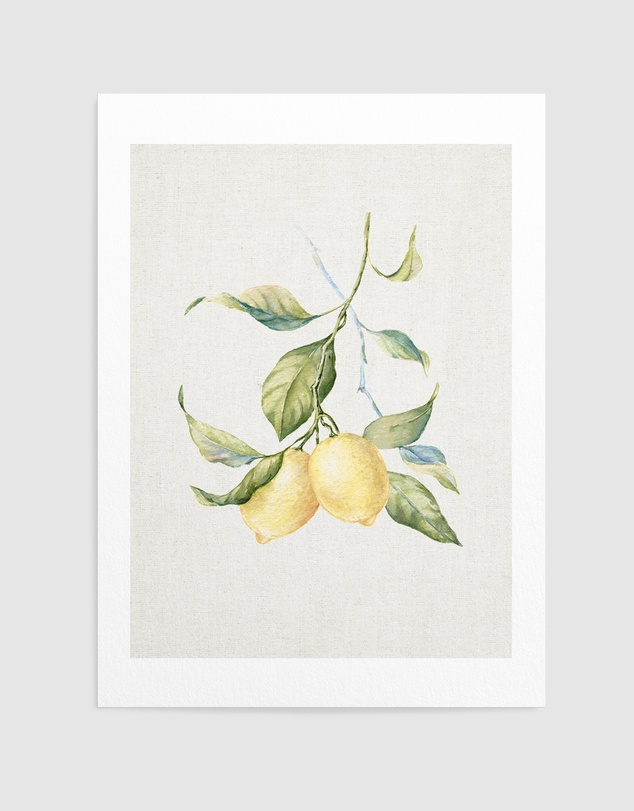 Olive et Oriel - Lemon on Linen III Art Print