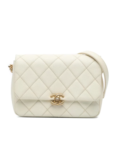 Pre-Loved by Azura Reborn - Pre-Loved chanel Chanel 19 Crossbody Bag Quilted