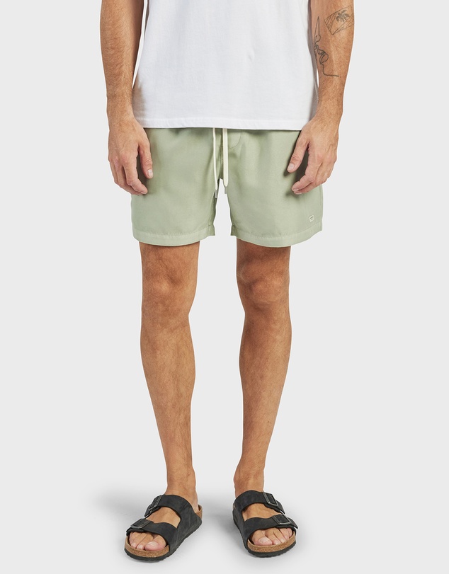Academy Brand - Teamster Boardy