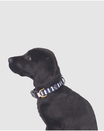 Mog & Bone - Neoprene Collar - Navy Hamptons Stripe Print