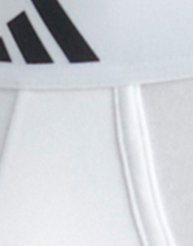 adidas Sportswear - 2 Pack Active Flex Cotton 3 Stripes Low Rise Brief Underwear