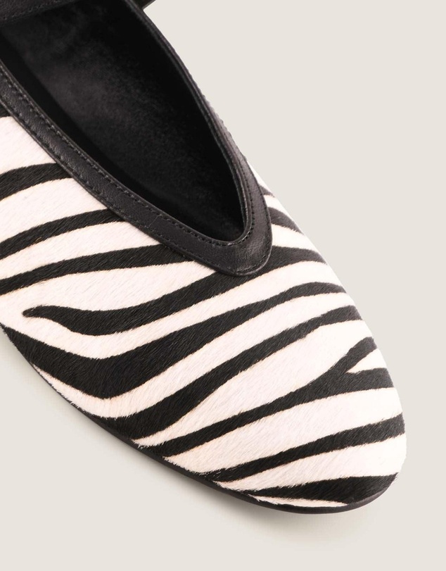 Shelly Shen - Rene Ballet Flats Zebra