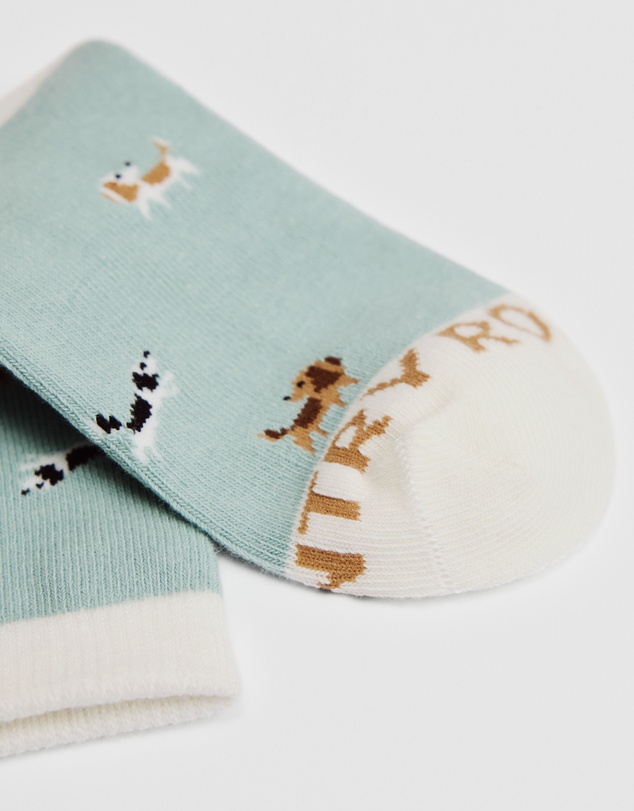 Country Road - Dog Sock