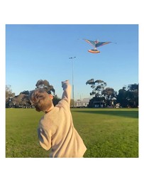 Tiger Tribe - Original Flying Bird