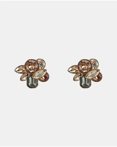 ALDO - Brocla Earrings