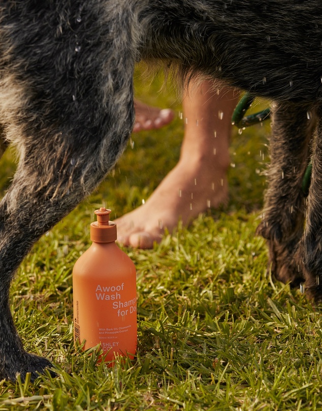 Ashley & Co - Awoof Wash 500ml