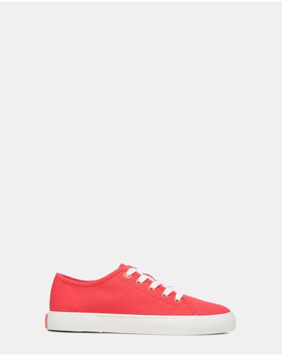 Poppy Canvas
