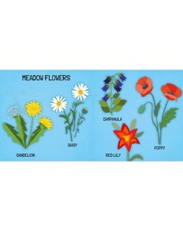 Sassi - Learn all about The Flowers 3D Puzzle and Book Set 40 Pieces